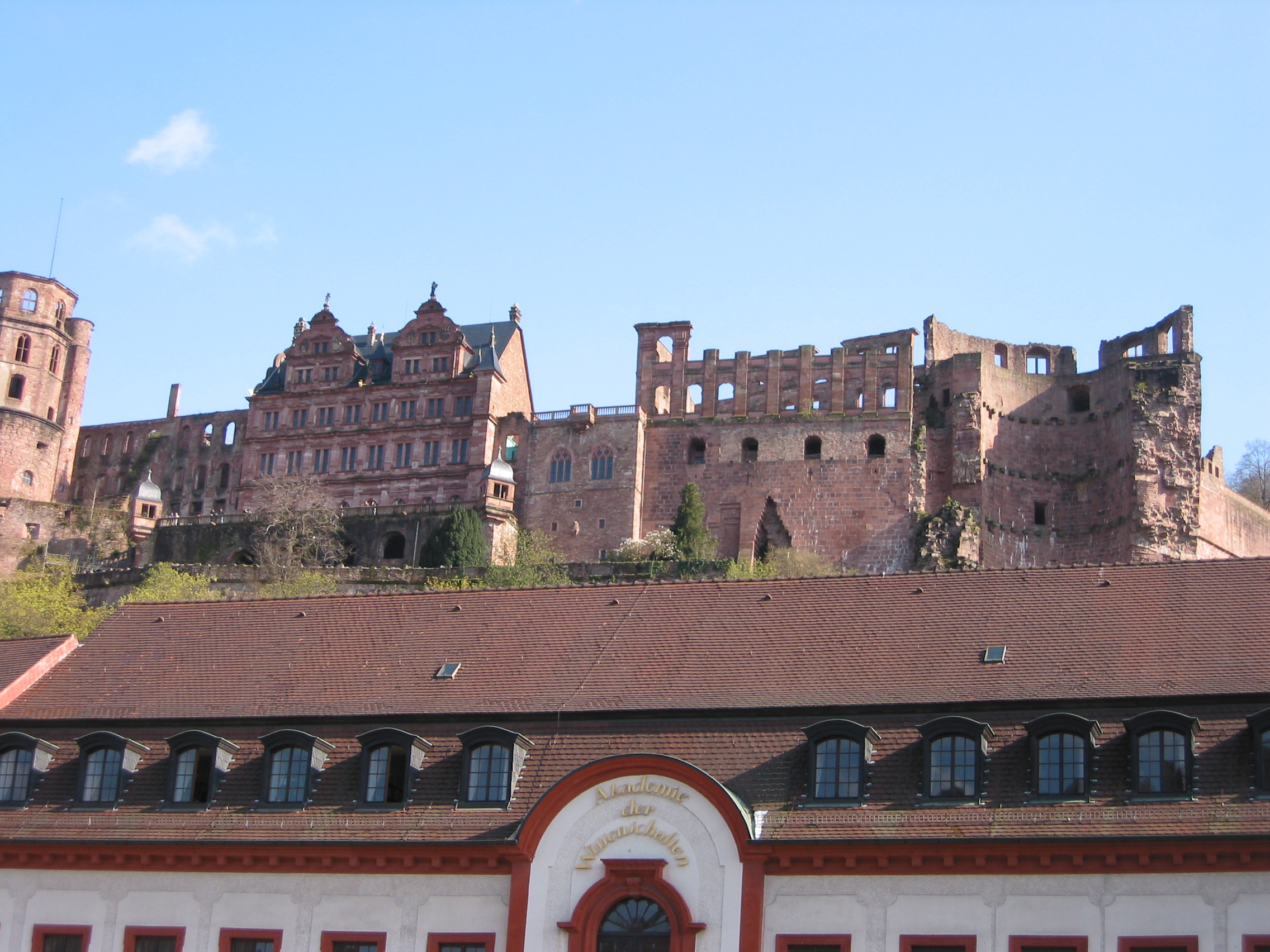 IMG_1659.JPG